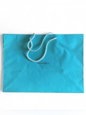 Tiffany & Co. Robin's Egg Blue Shopping Bag with White Rope Handles